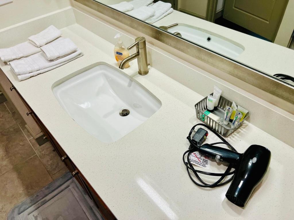 Downtown Apt Free Parking - Pool - Gym - Fully Kitchen Houston Exteriör bild